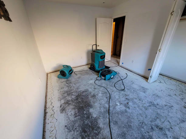 Reliable Rogersville, AL Water damage restoration Solutions