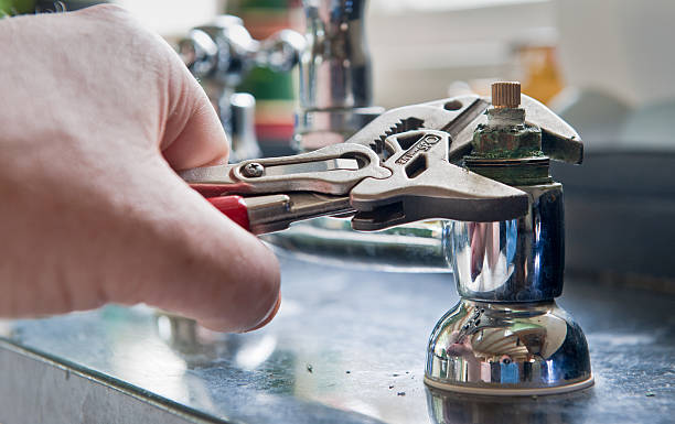 Best 24-hour water damage restoration  in Rogersville, AL