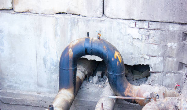Best Water damage mitigation services  in Rogersville, AL
