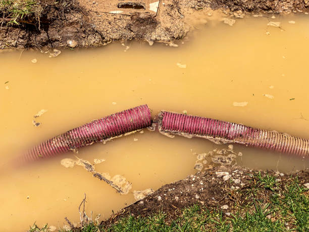 Best Emergency water damage restoration  in Rogersville, AL