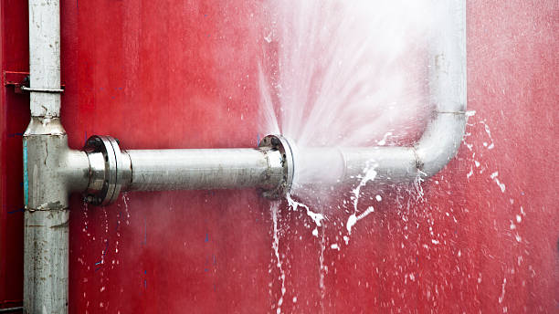 Best Water damage restoration near me  in Rogersville, AL